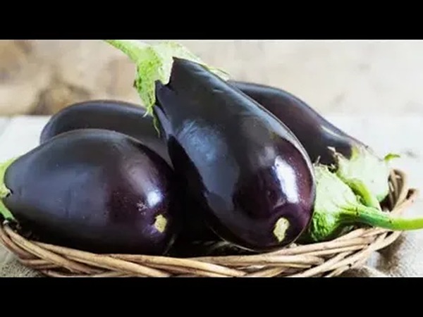 تصویر 3 از فروش بادمجان ریز قلمی + قیمت خرید به صرفه